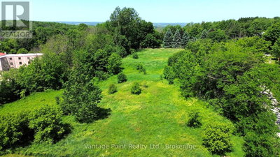 Image #1 of Commercial for Sale at Alma, Chatsworth, Ontario