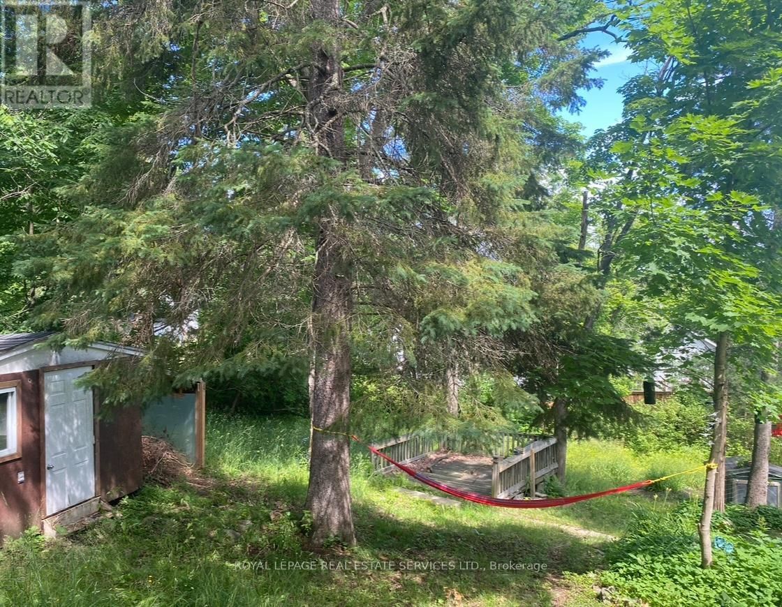 16 CORA STREET EAST Image 19