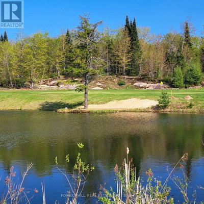 Image #1 of Commercial for Sale at Eagle Lake, Machar, Ontario