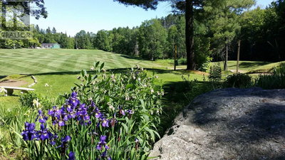 Image #1 of Commercial for Sale at Eagle Lake, Machar, Ontario