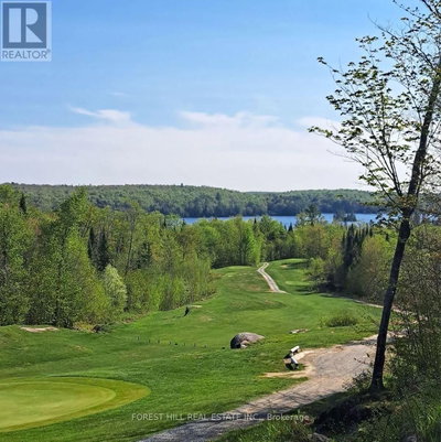 Image #1 of Commercial for Sale at Eagle Lake, Machar, Ontario