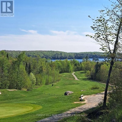 Image #1 of Commercial for Sale at Eagle Lake, Machar, Ontario
