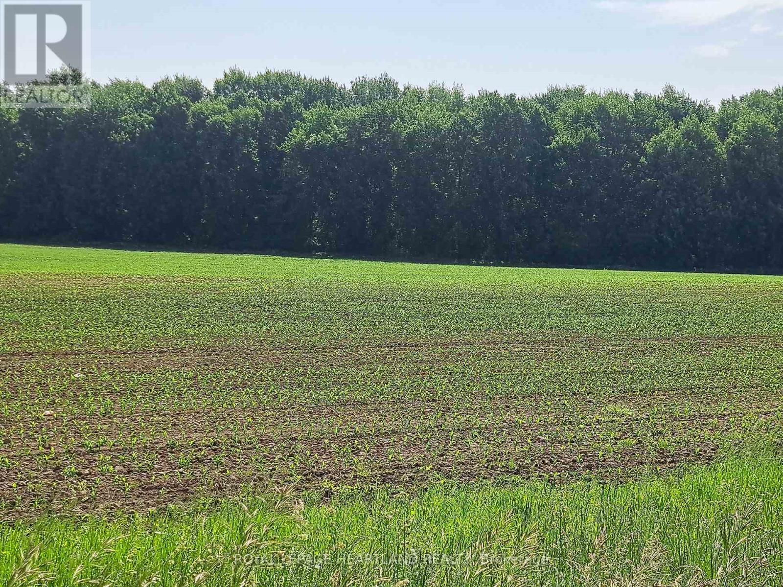 74018 BABYLON LINE Image 12