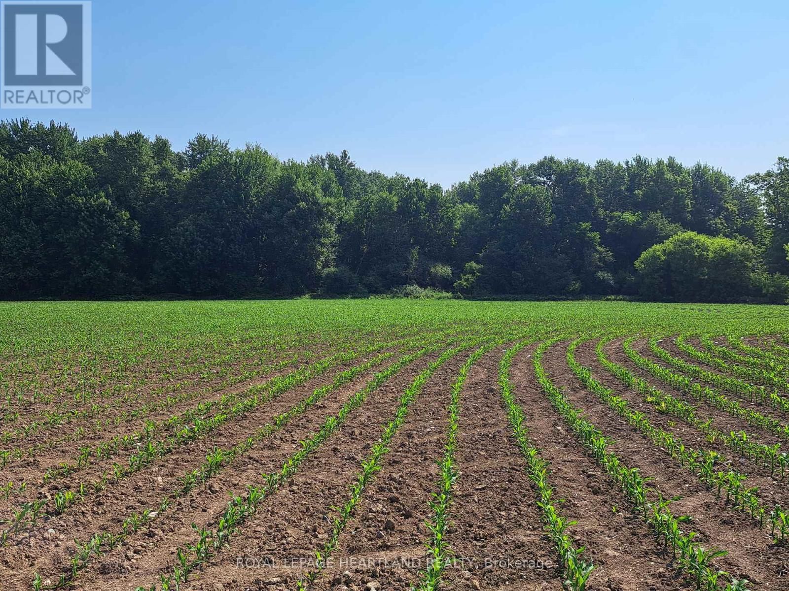 74018 BABYLON LINE Image 13