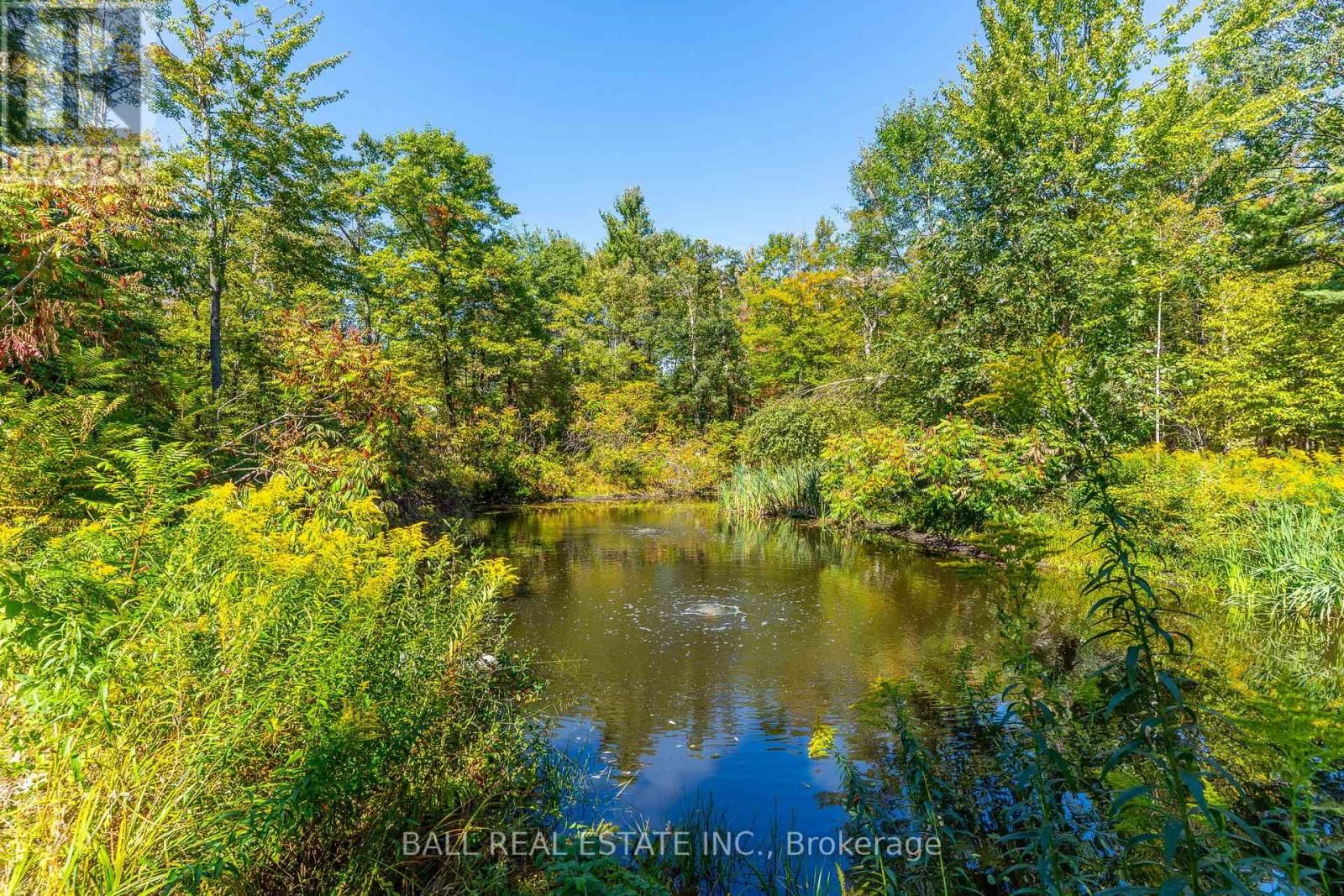 221 EDWINA DRIVE Image 48