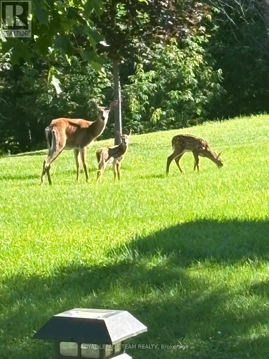 230 OPEONGO ROAD Image 48