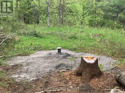 Commercial for Sale in Ontario