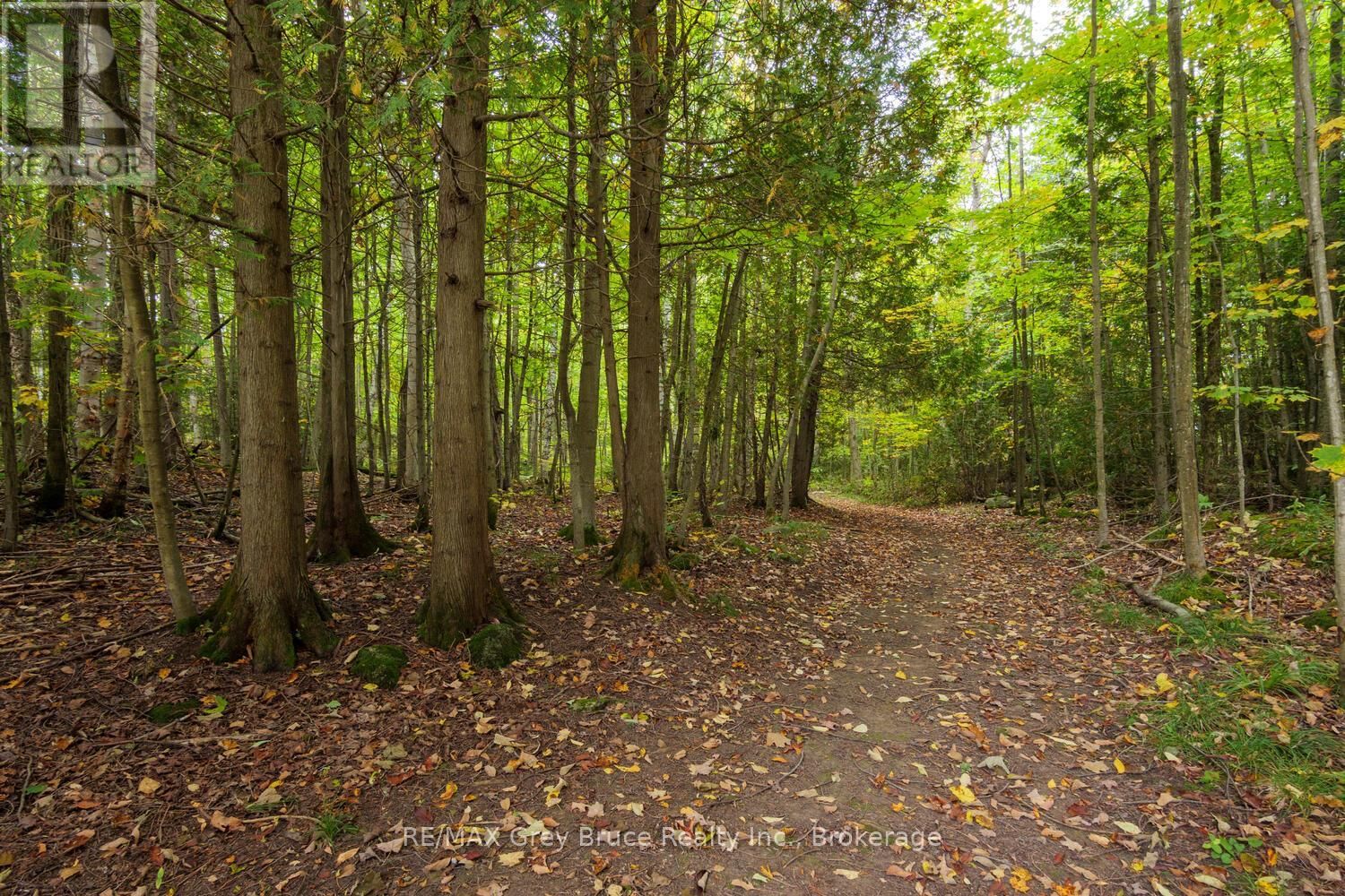 217 KINGS CRESCENT Image 27