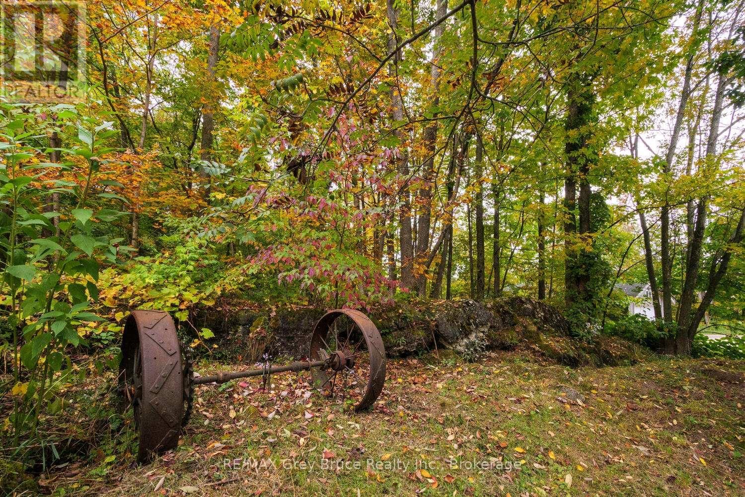 217 KINGS CRESCENT Image 33