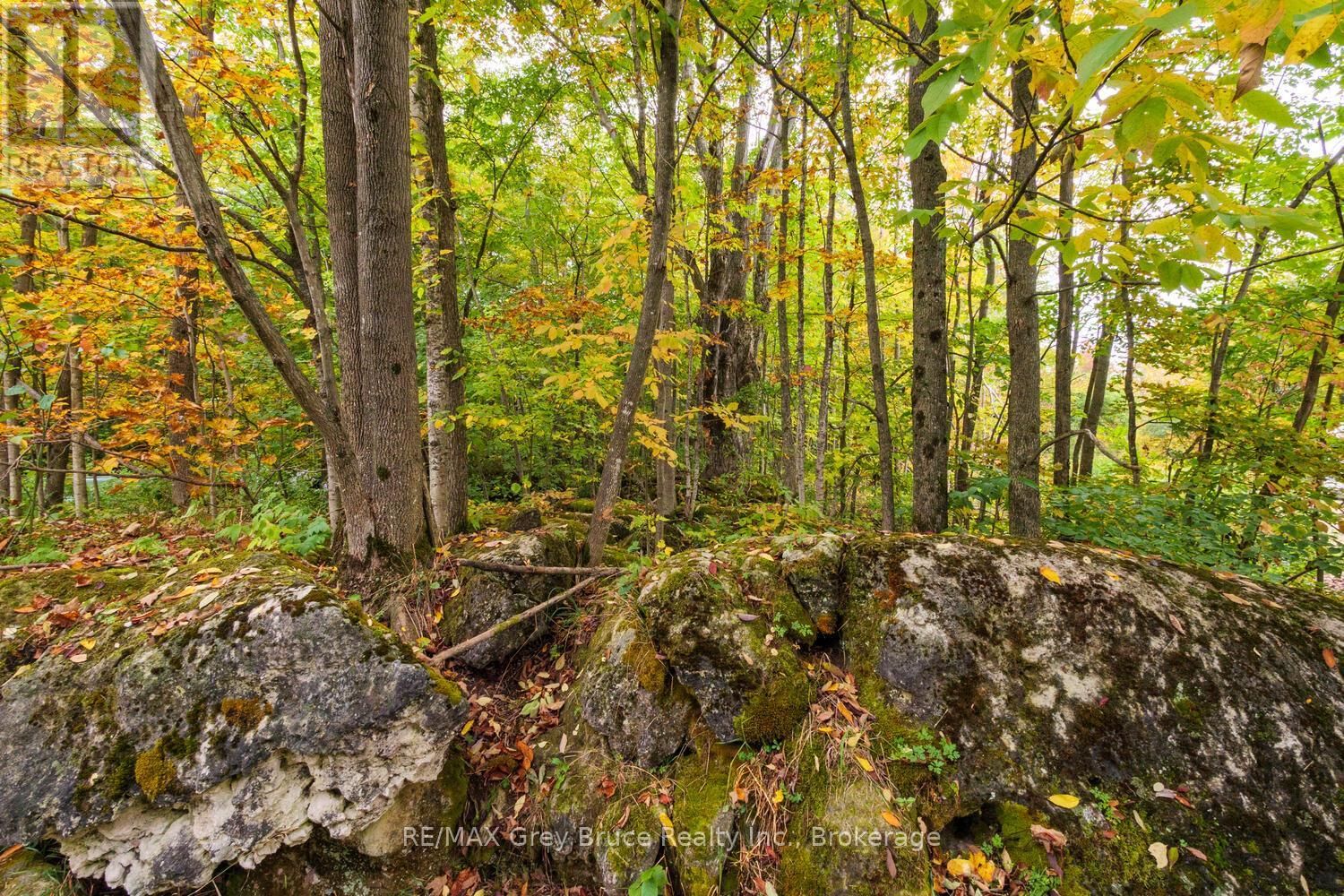 217 KINGS CRESCENT Image 34