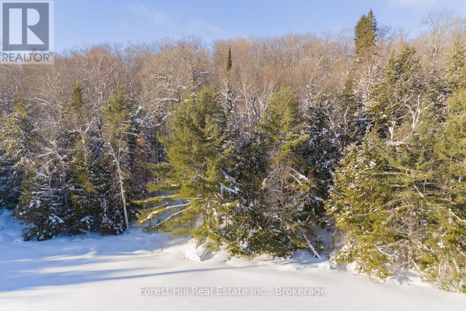 1107 CRANE LAKE ROAD Image 13