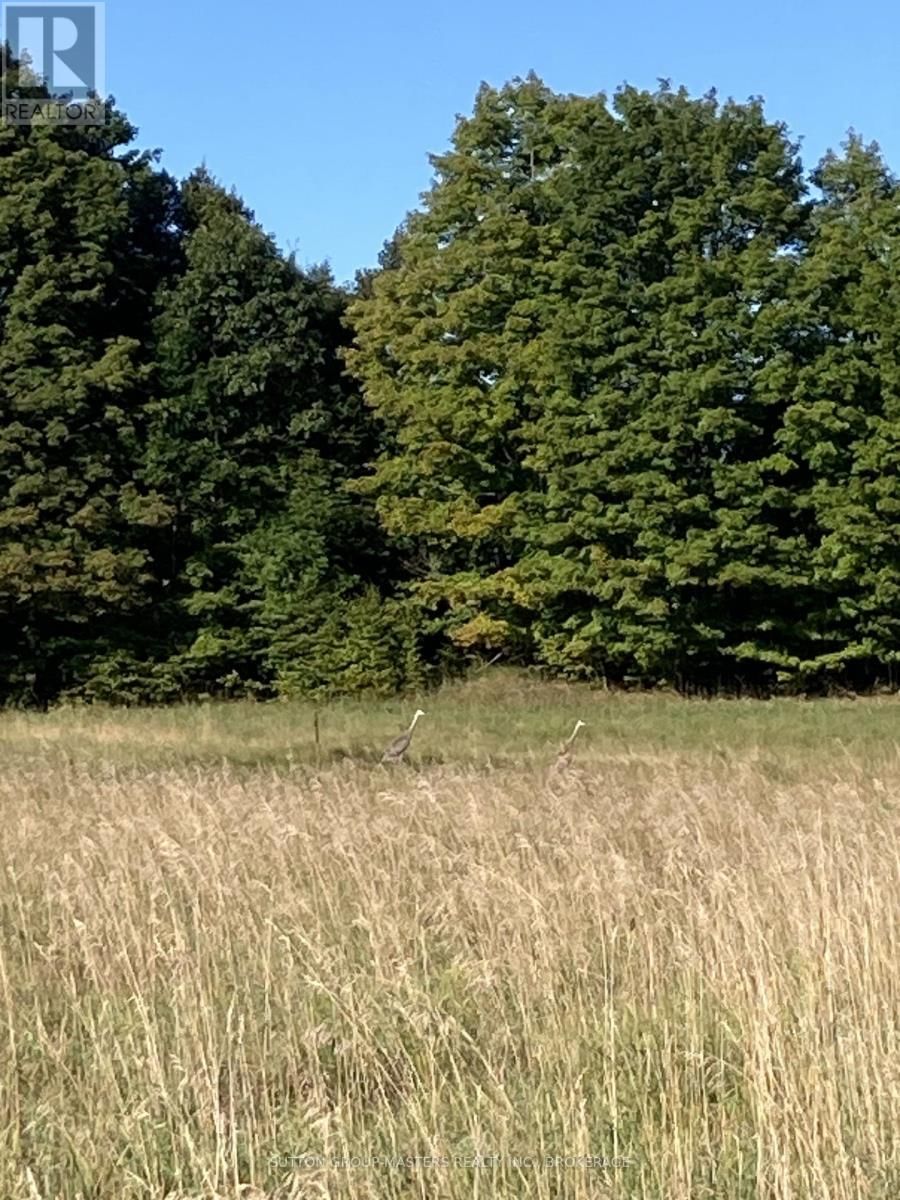 191 FIFTH CONCESSION ROAD SOUTH Image 45