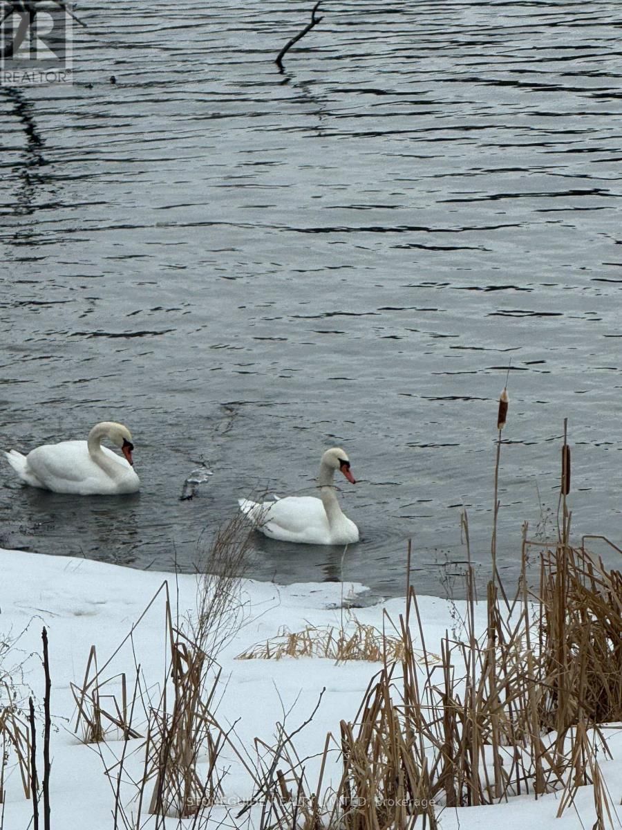 122 FRADETTE AVENUE Image 43