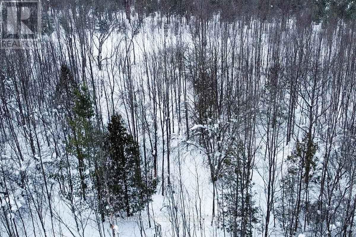 180 BOWLES BLUFF ROAD Image 5