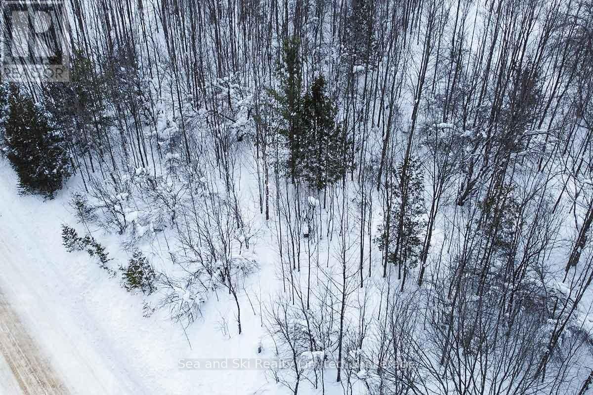 180 BOWLES BLUFF ROAD Image 6