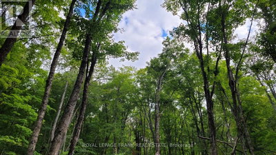 Commercial for Sale in Ontario