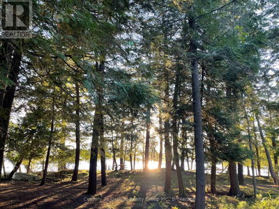 Image #1 of Commercial for Sale at Soyers Lake, Minden Hills , Ontario