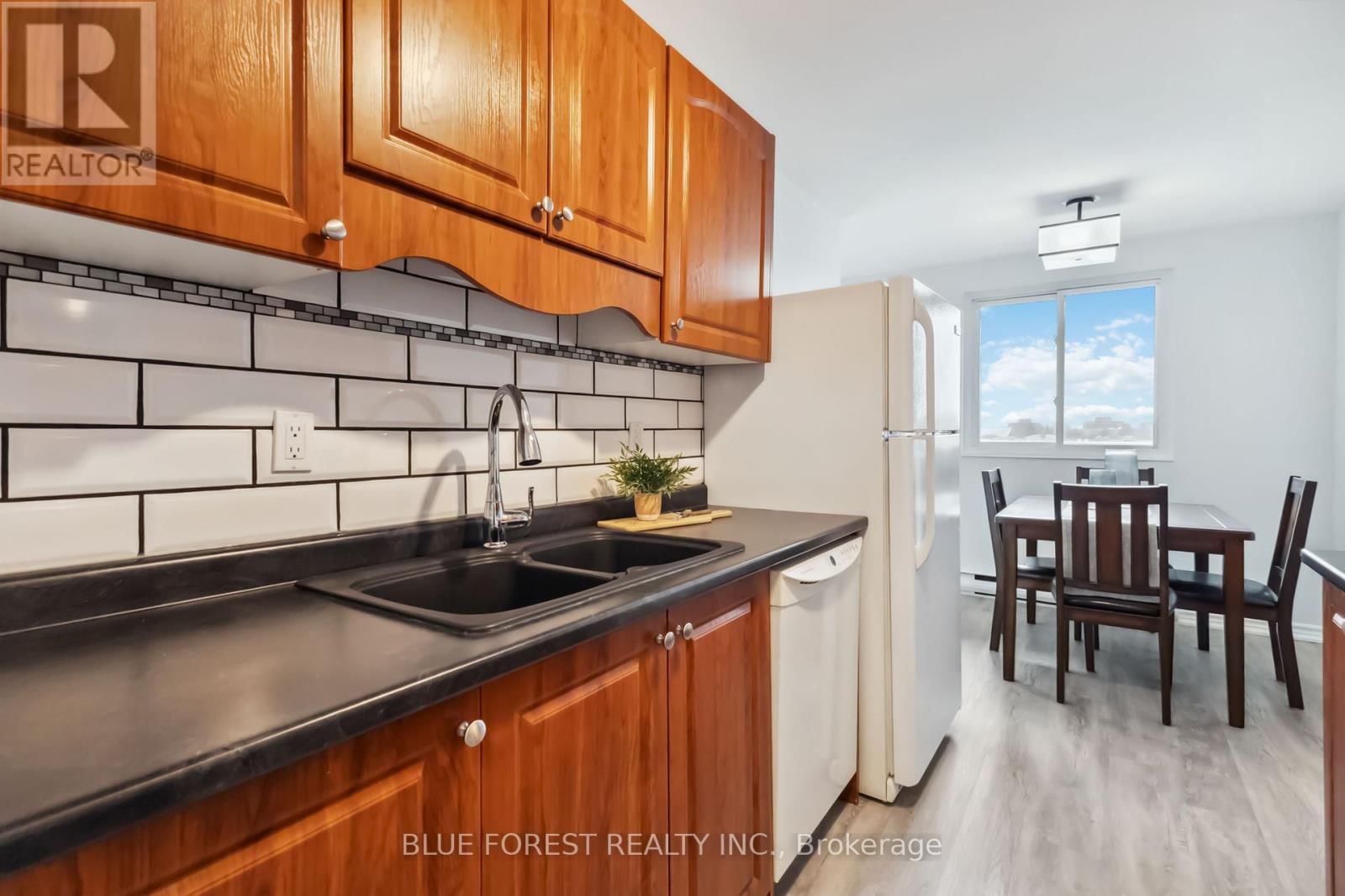 501 - 1100 JALNA BOULEVARD Image 12