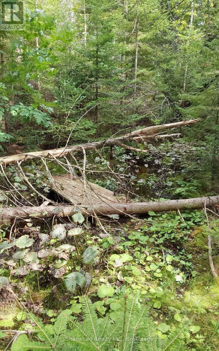 579 CAPE HURD ROAD Image 34