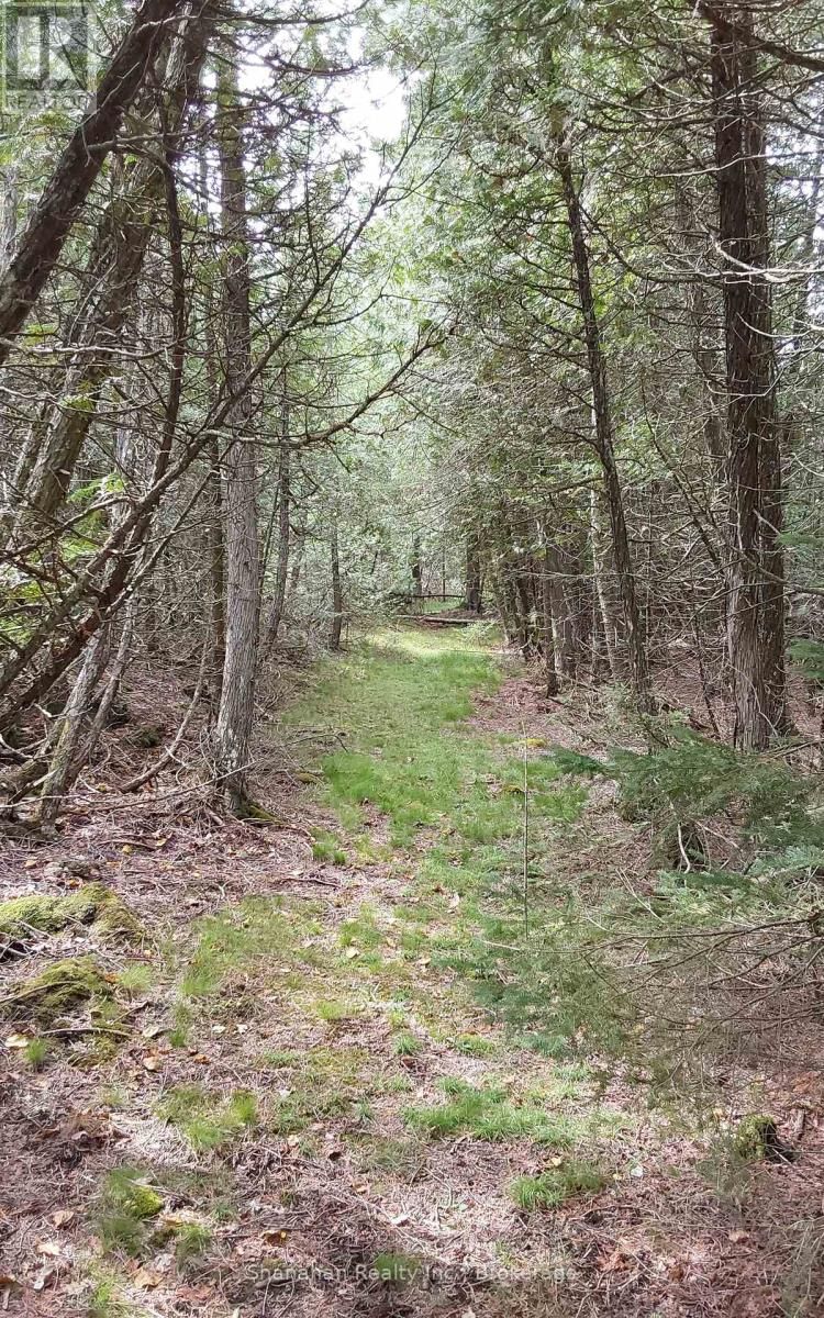 579 CAPE HURD ROAD Image 35