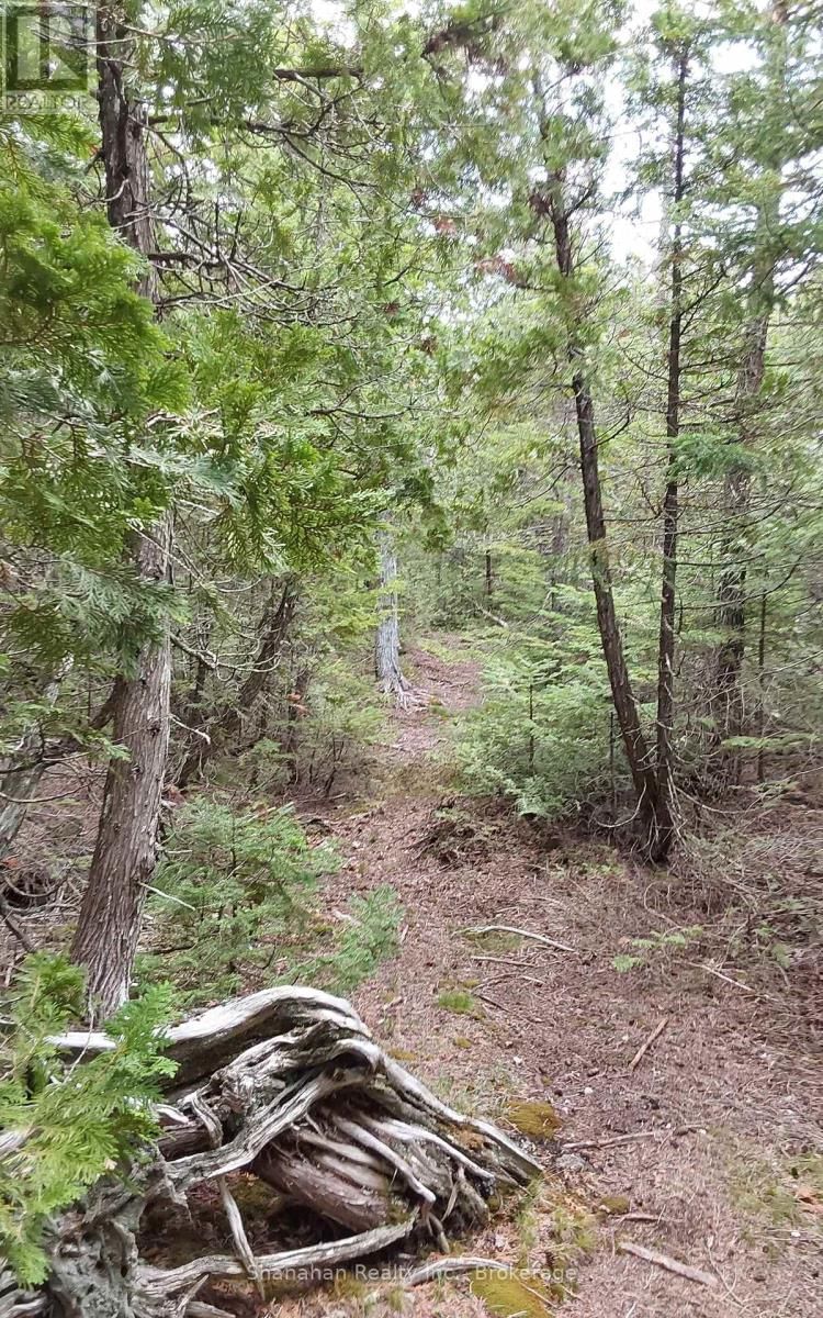 579 CAPE HURD ROAD Image 38