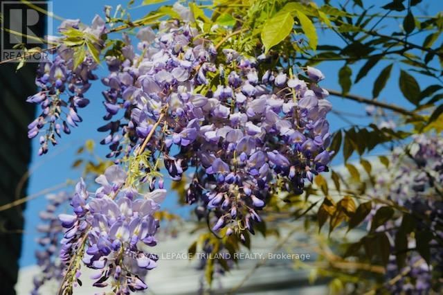 54 ELYSIAN STREET Image 25