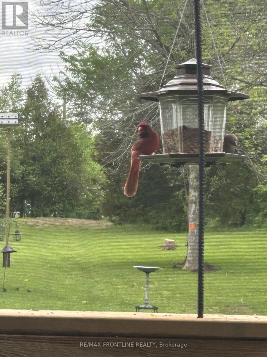 632 POONAMALIE SIDE ROAD Image 40