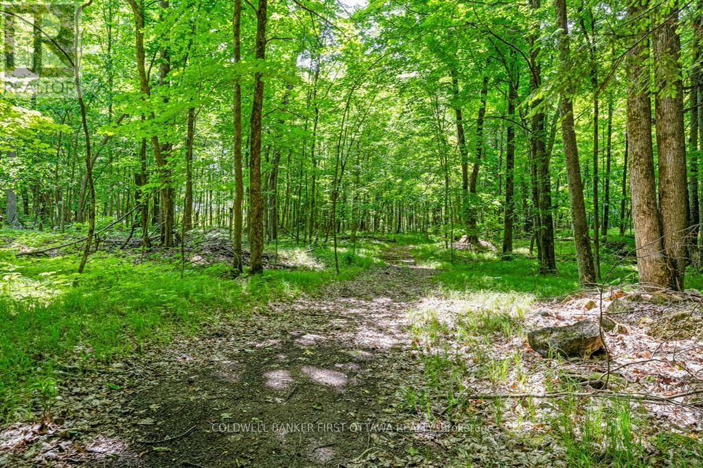 1102 EBBS BAY ROAD Image 6