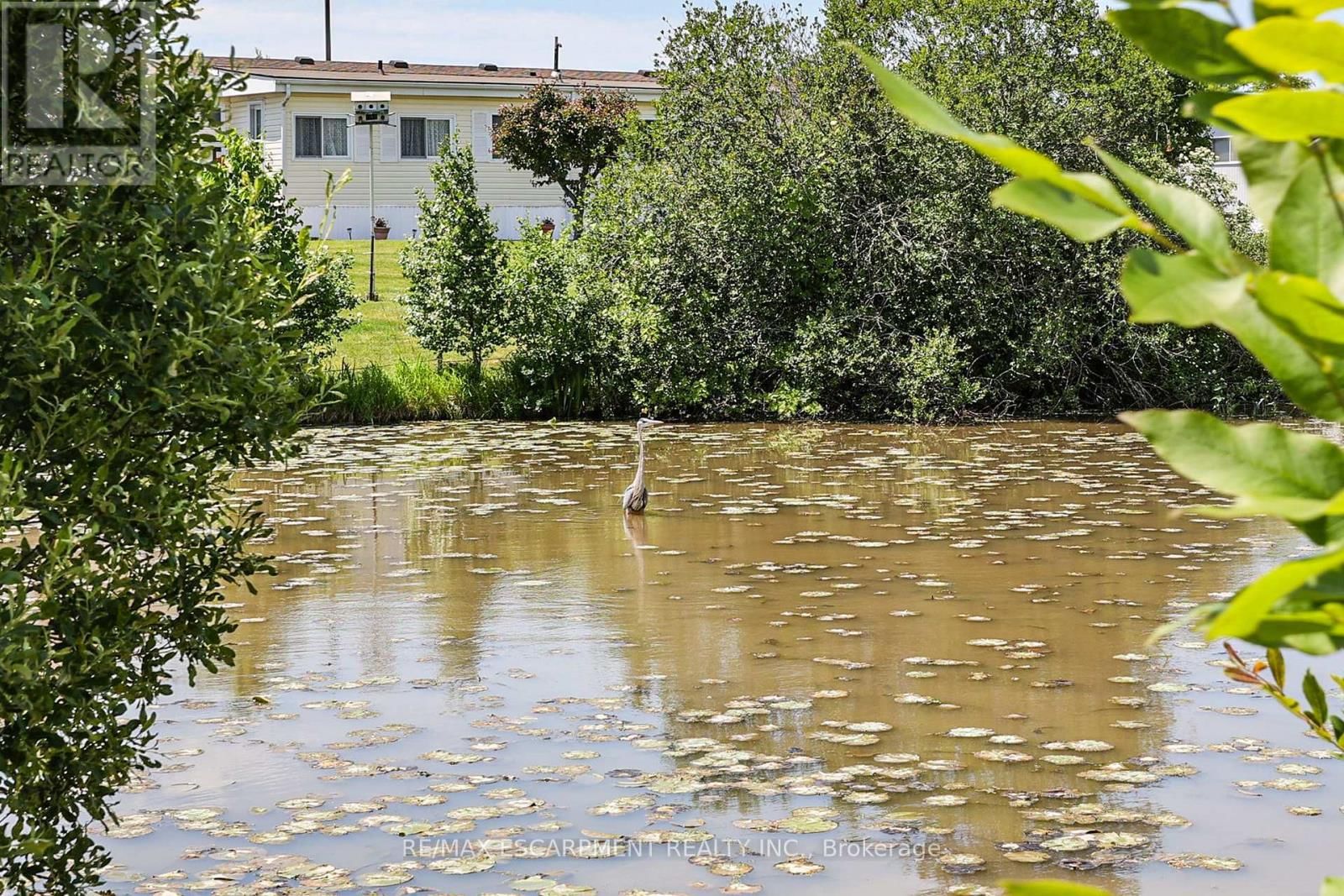 343 - 3033 TOWNLINE ROAD Image 45