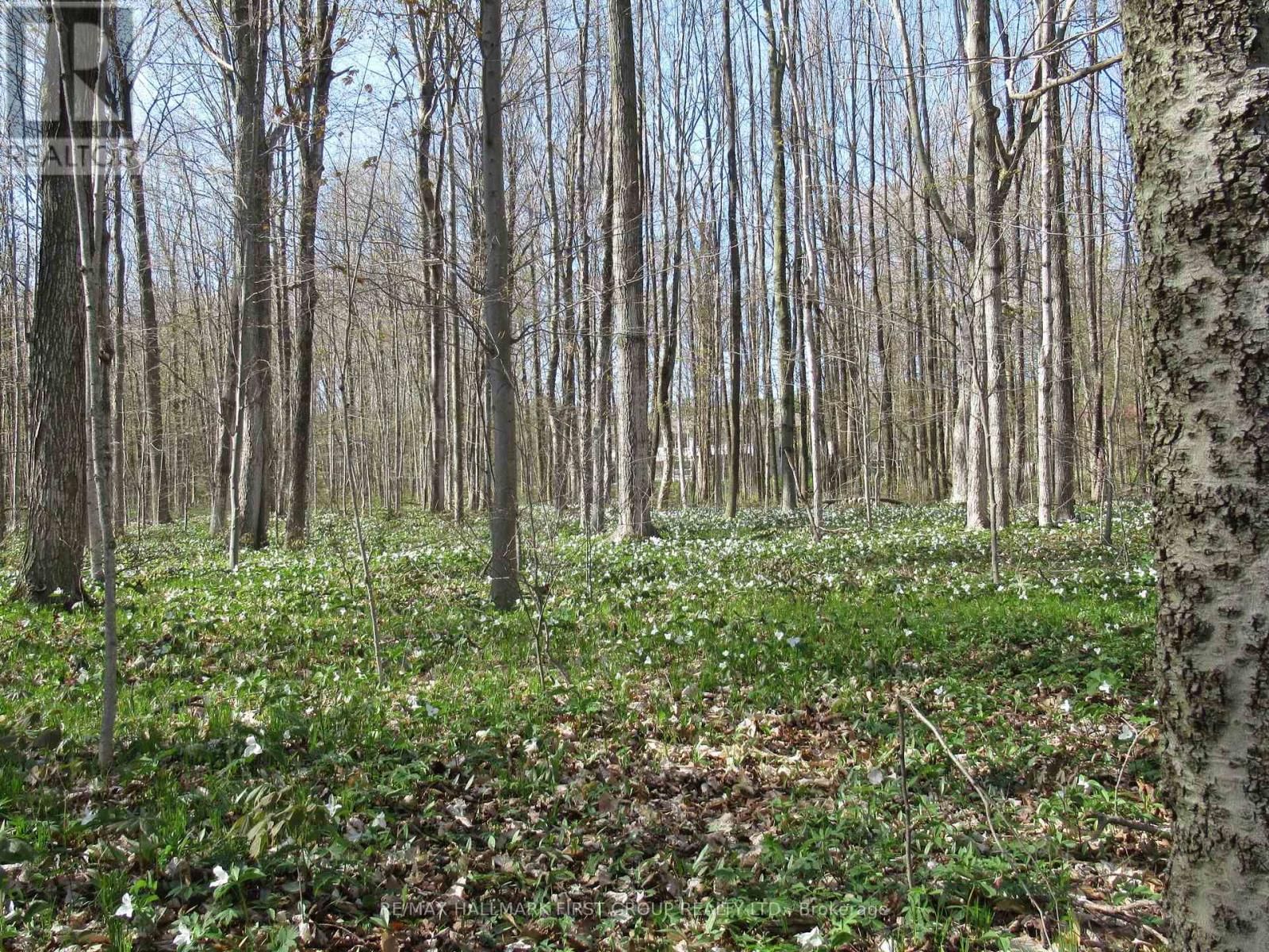 452 GULLY ROAD Image 44