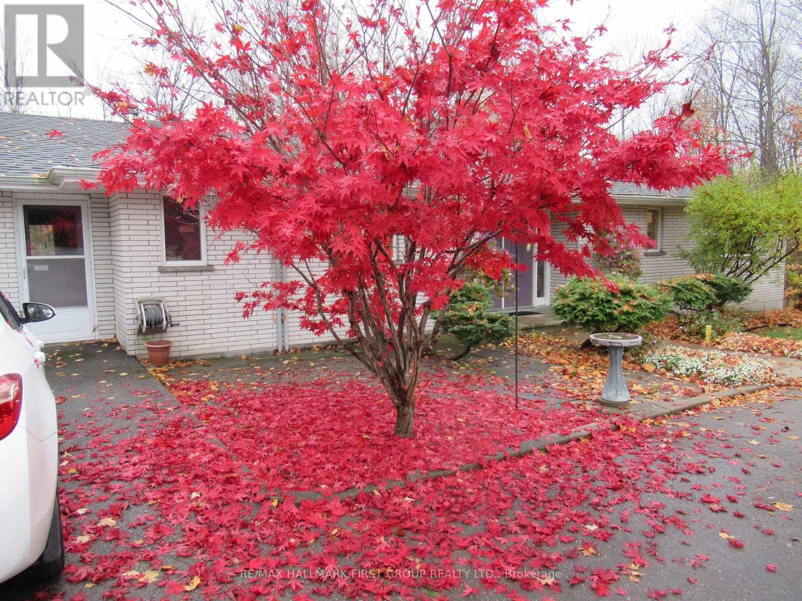 452 GULLY ROAD Image 45