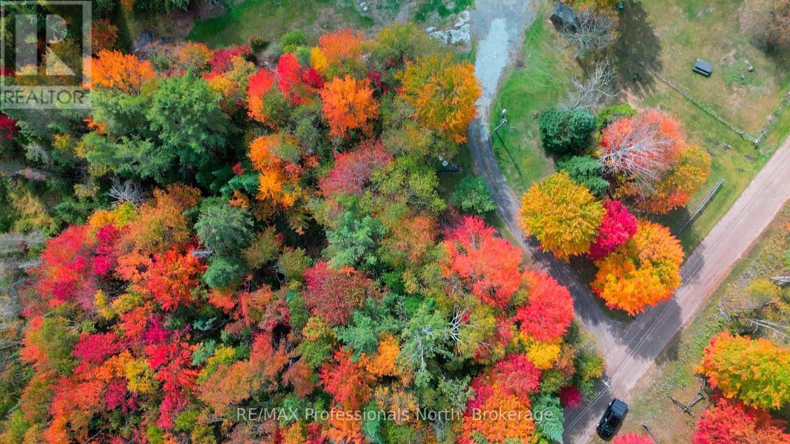 1110 SEDGWICK ROAD Image 42