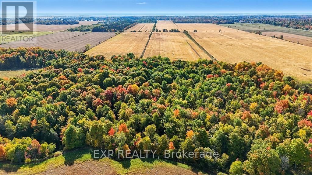 2830 CONCESSION 4 ROAD Image 37