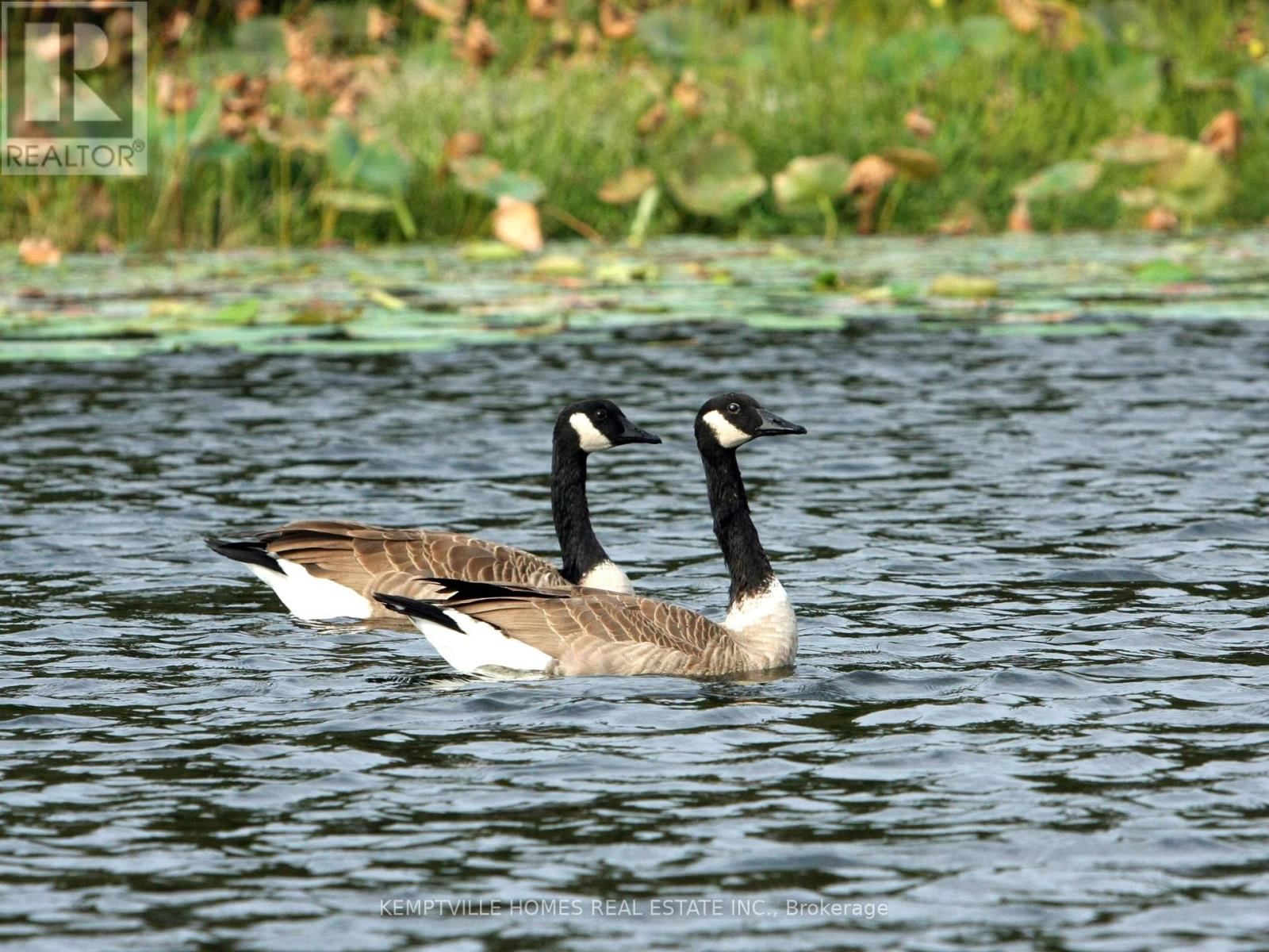 472 RIVER ROAD Image 5