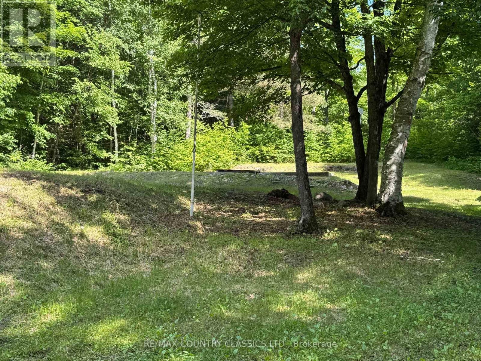 1703 BOULTER ROAD Image 4