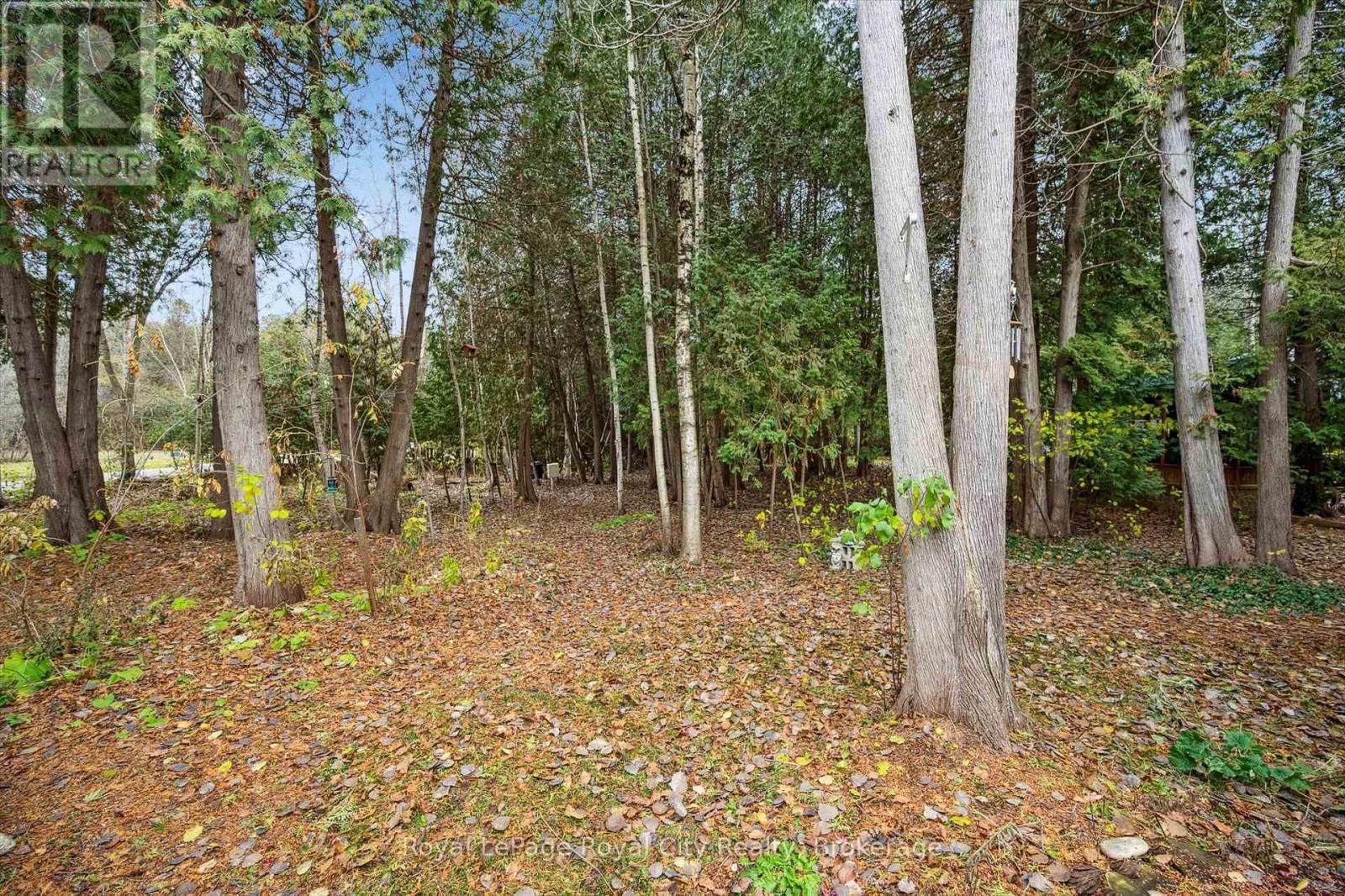 10 SPRUCE AVENUE Image 24