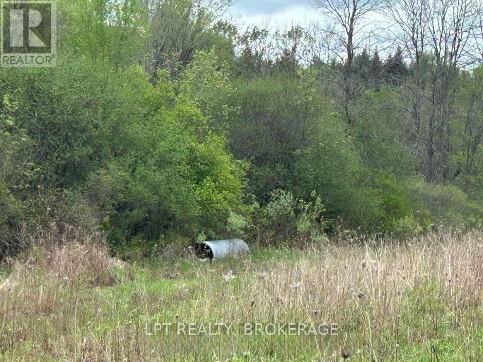 4374 LORDS MILLS ROAD Image 7