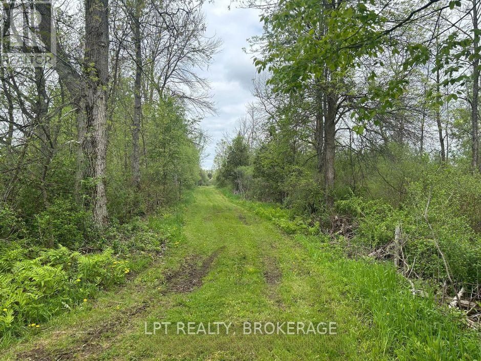 4374 LORDS MILLS ROAD Image 9