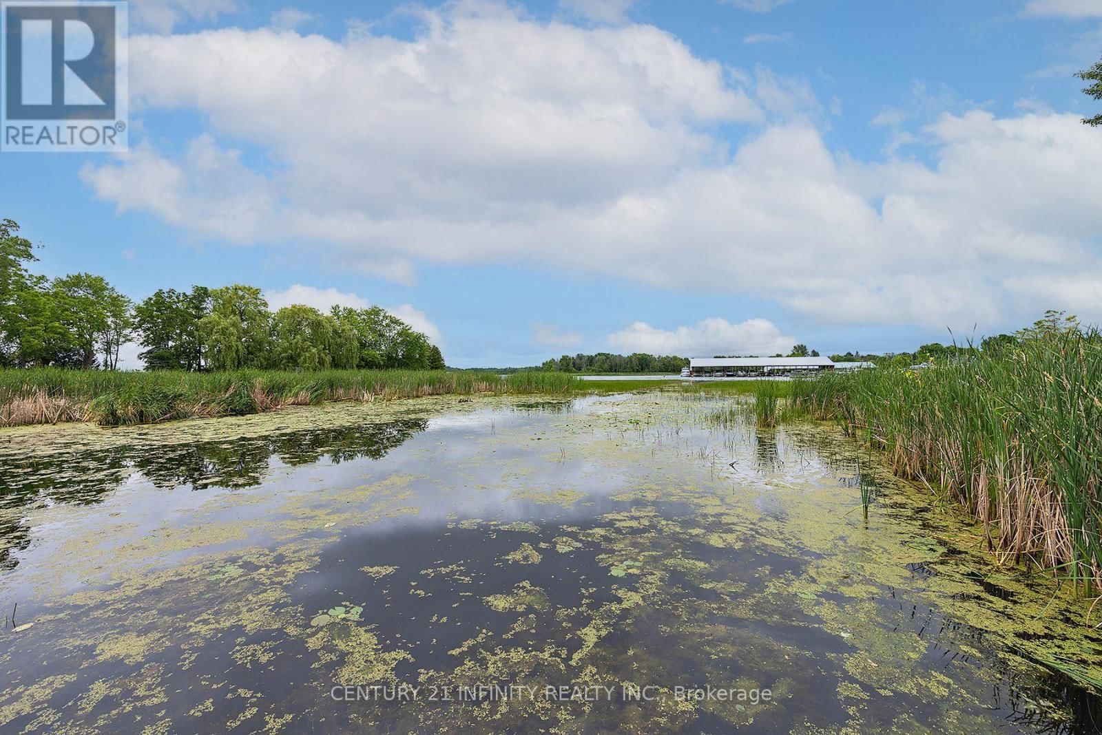 11 CAMPBELL STREET Image 10