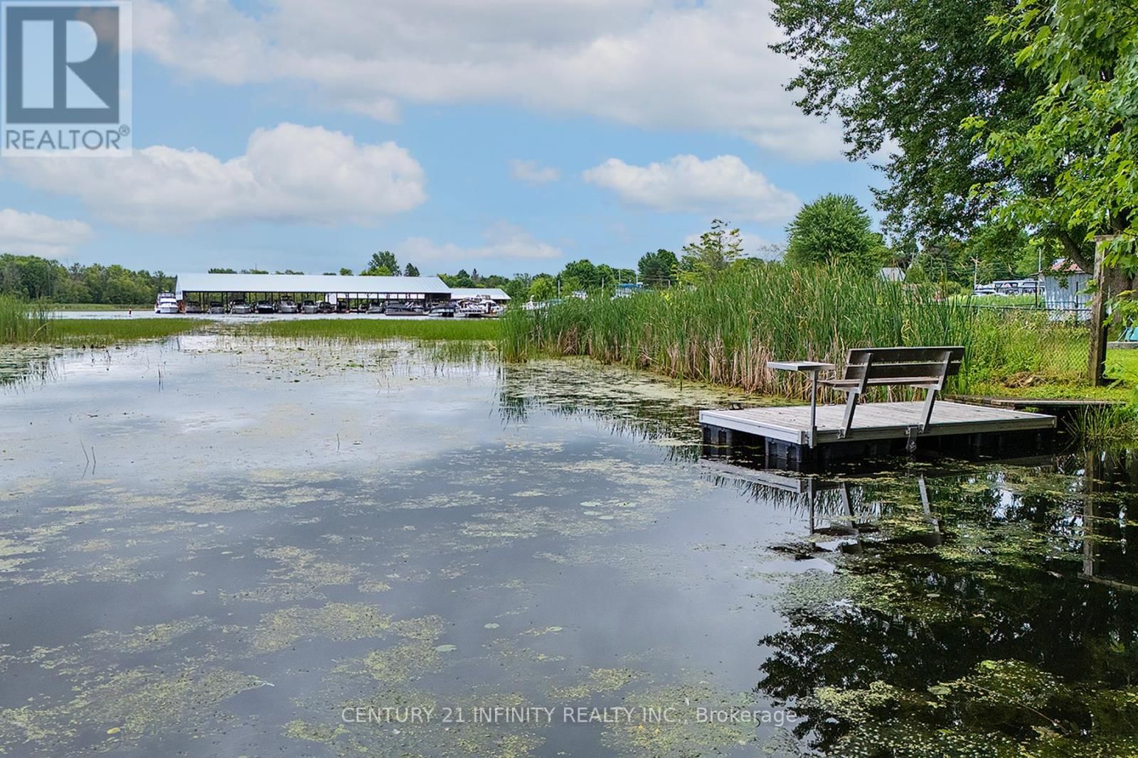 11 CAMPBELL STREET Image 11