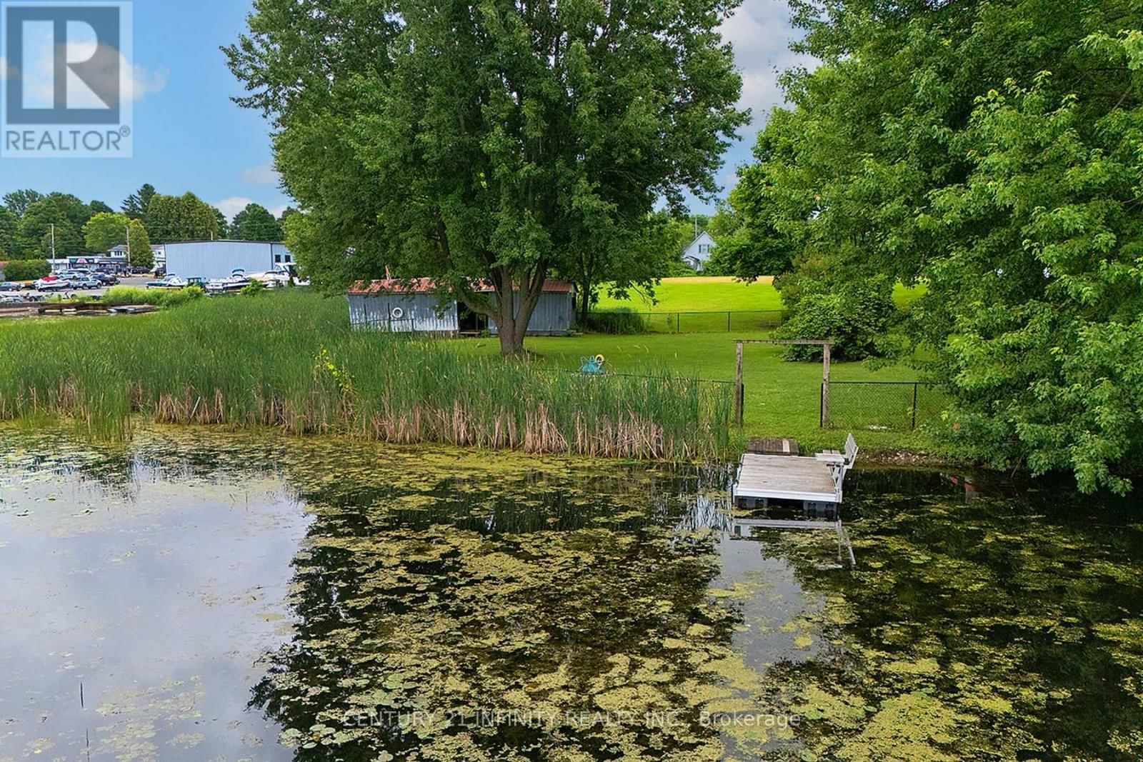 11 CAMPBELL STREET Image 12