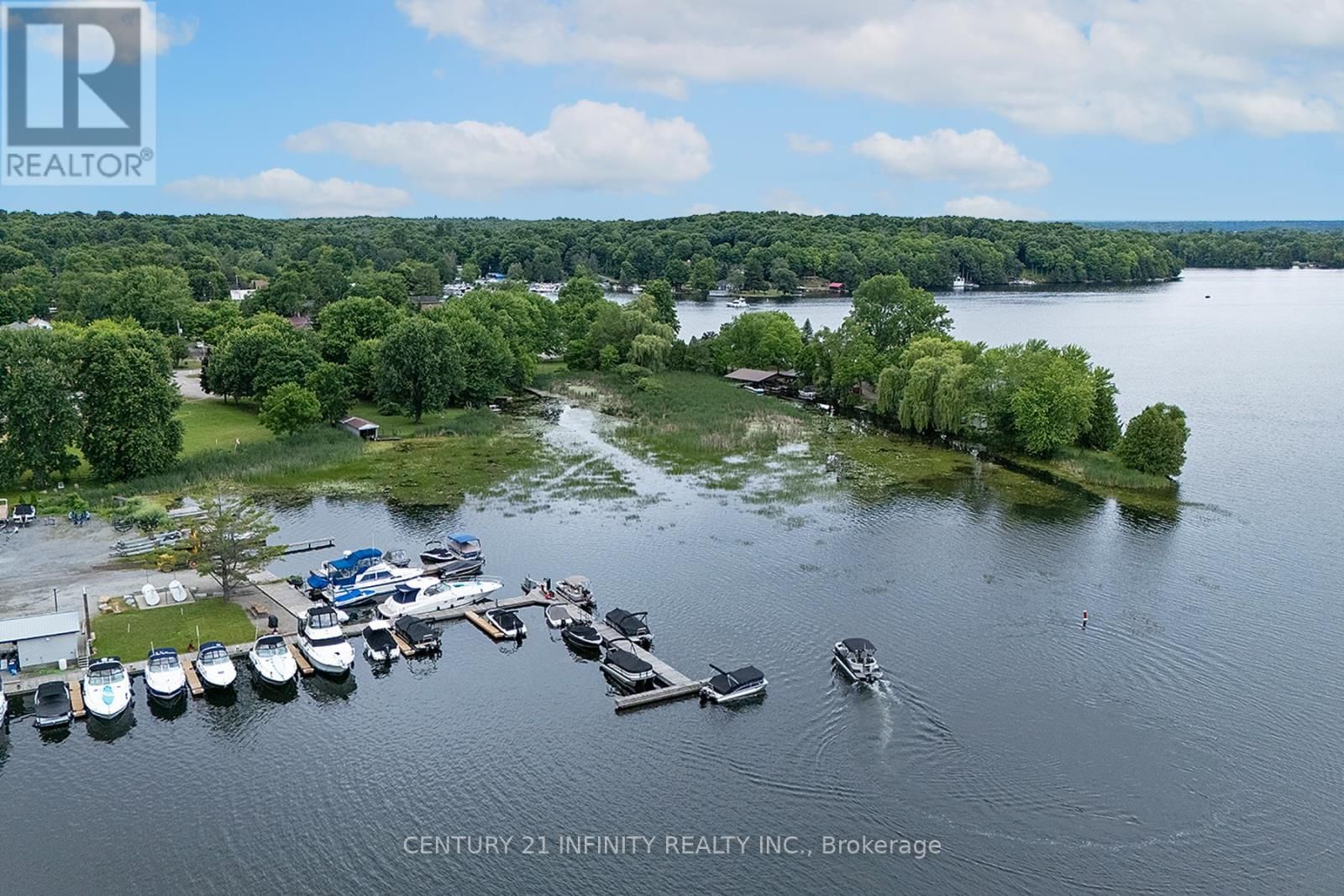 11 CAMPBELL STREET Image 14