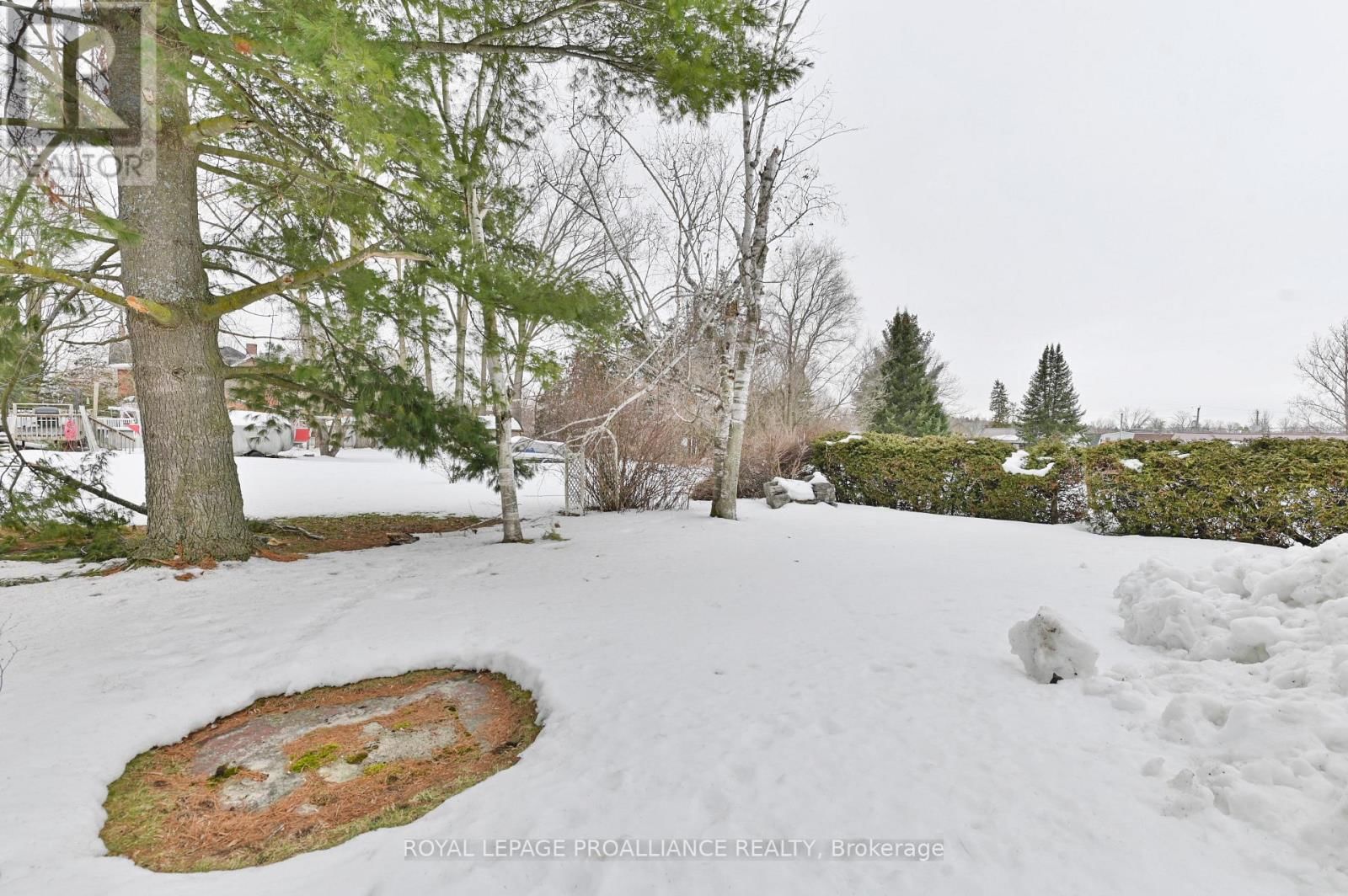 184 EDWARD STREET Image 28