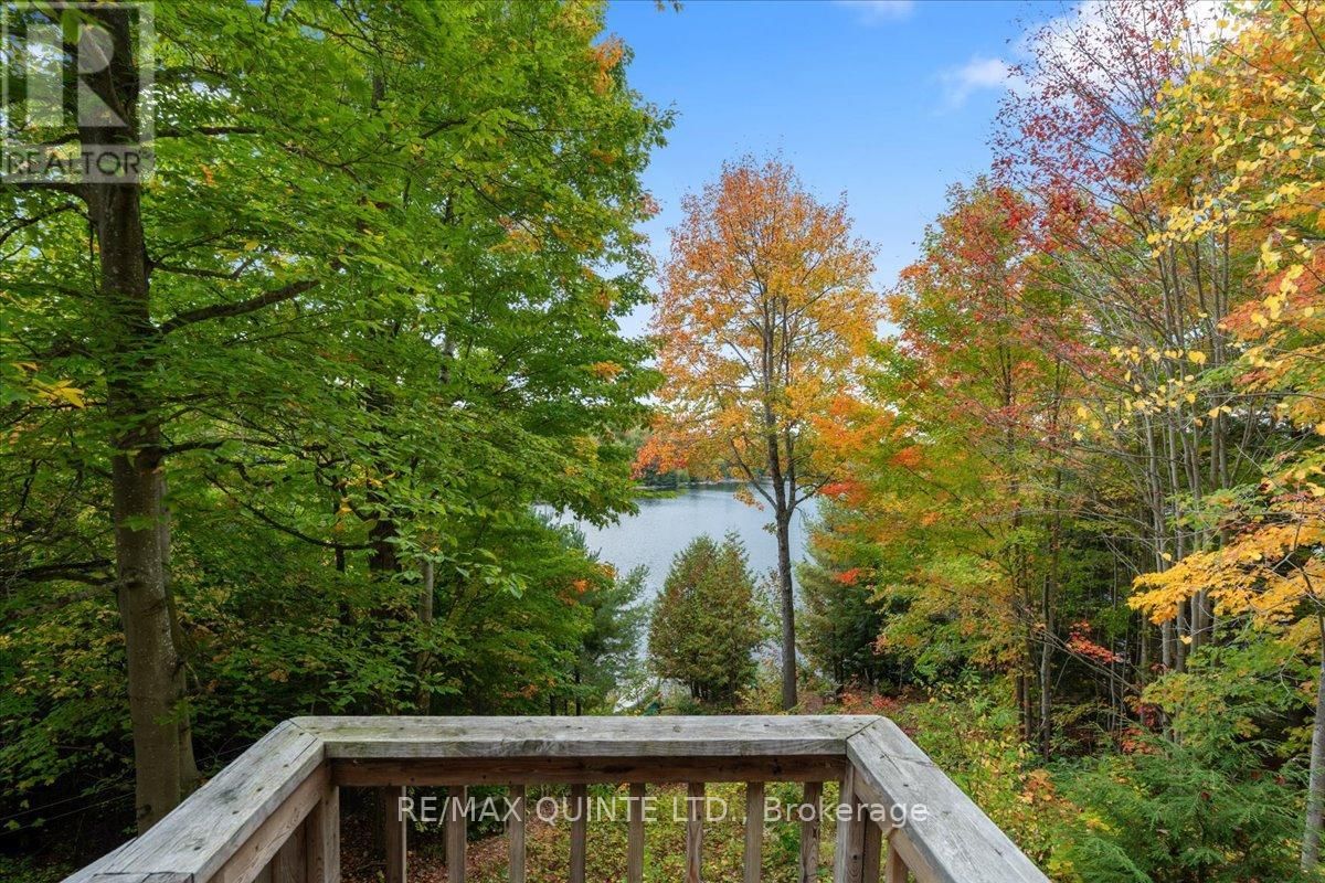 538 SKENE ROAD Image 40