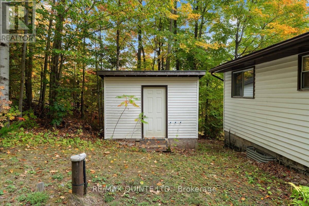 538 SKENE ROAD Image 43