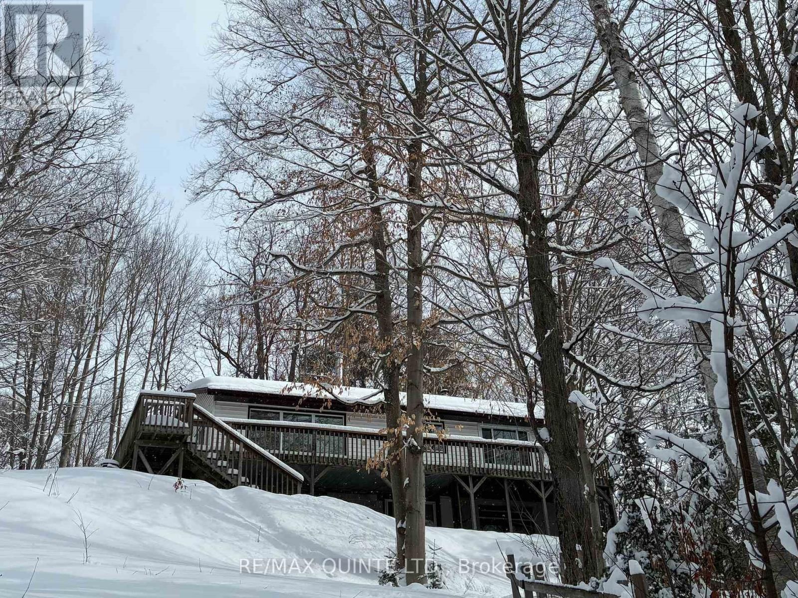 538 SKENE ROAD Image 50