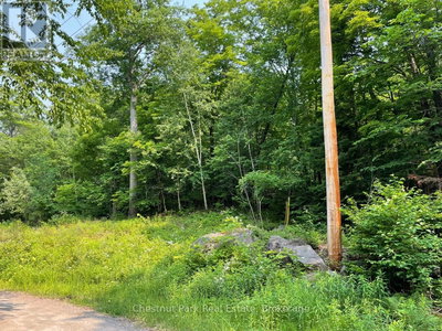 Commercial for Sale in Ontario