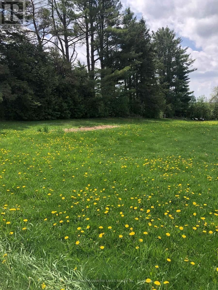 8 FULSOM CRESCENT Image 1