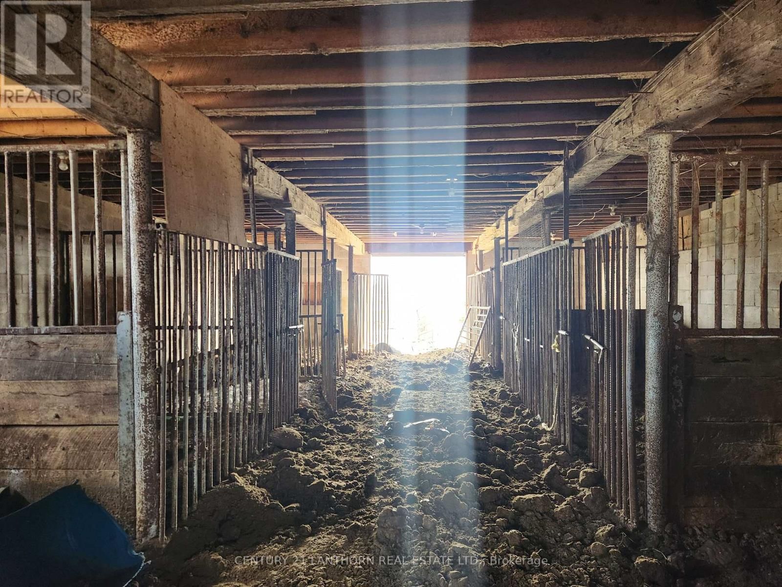 50 PLATT ROAD Image 16