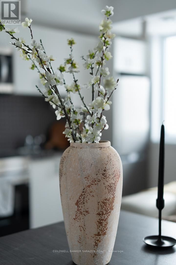 203 - 994 BRONSON AVENUE Image 15